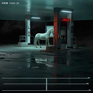 林宥嘉：专辑《王》[24bit/48kHz]高品质[无损FLAC+MP3][680MB]-DD猫音乐网