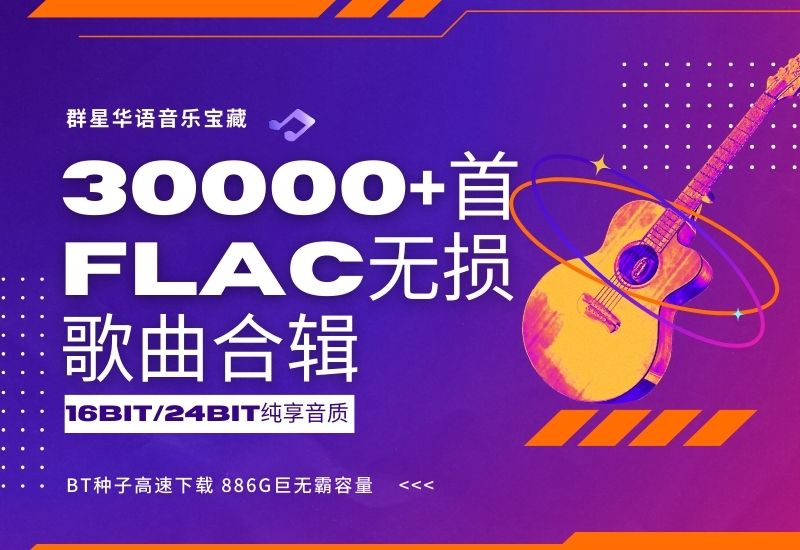 群星华语音乐宝藏：30000+首FLAC无损歌曲合辑[体验16bit/24bit纯享音质][886G巨无霸容量]BT种子高速下载-DD猫音乐网