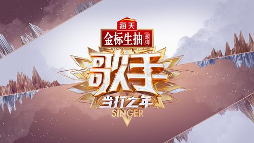 歌手·当打之年：[第1-12期]综艺节目歌曲打包下载[无损FLAC/MP3/LIVE][6.72GB]-DD猫音乐网