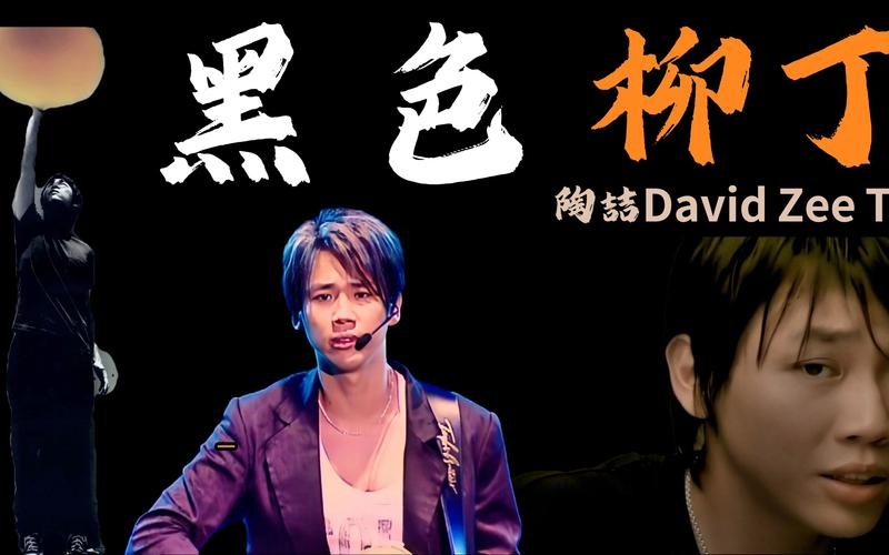 陶喆《黑色柳丁》2002年专辑音乐下载[无损FLAC/MP3/454MB]-DD猫音乐网