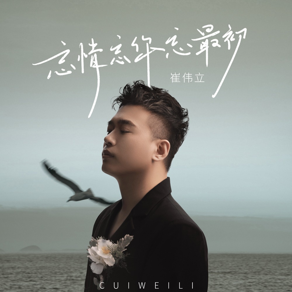 崔伟立《忘情忘你忘最初》音乐下载_歌曲伴奏[无损WAV/MP3/121M]-DD猫音乐网