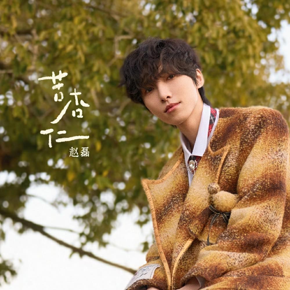 赵磊《苦杏仁》全新单曲下载[无损FLAC/MP3]-DD猫音乐网